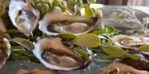 Shuck & Sip: Albany Rock Oysters & Bubbles this Thursday & Friday  \ud83e\udd42