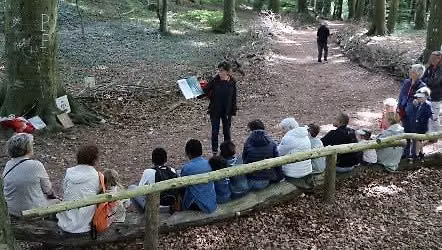 Balade historique et culturelle dans le bois de Rombly