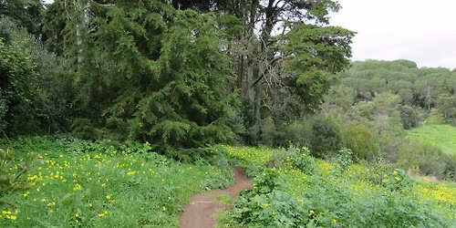 Caminhando no Corredor Verde de Monsanto