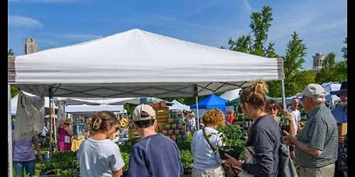 The Open-Air Artisan Showcase