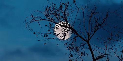 Blue Moon Holotropic (Conscious, Connected) Breathwork