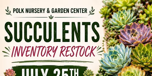 Succulent Restock