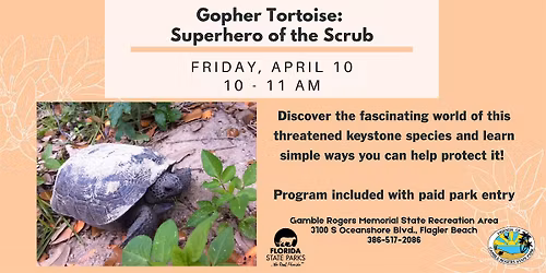 Gopher Tortoise: Superhero of the Scrub