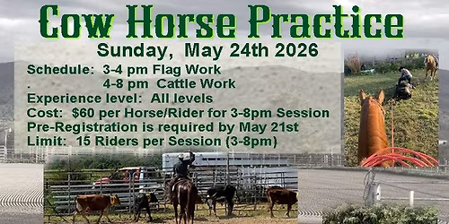 Cow Horse Practice