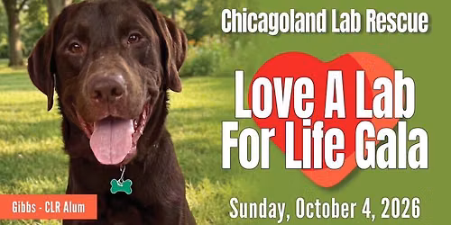 Love A Lab For Life
