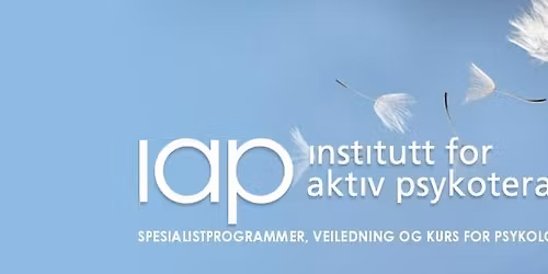 IAP Salong med Geir L\u00f8kling