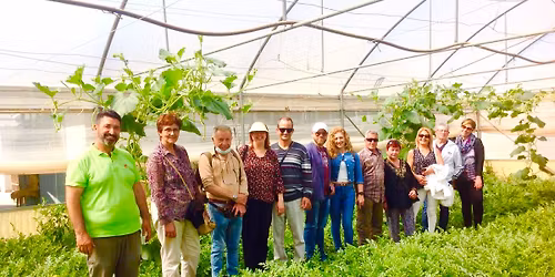 Sicilian Foodie Experience day trip by catamaran: Saturday 23 May 2026