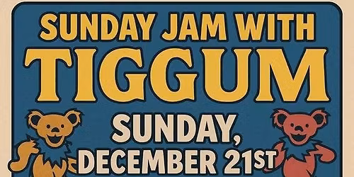 Tiggum holiday dance party