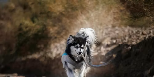 April Showers NASDA Trial