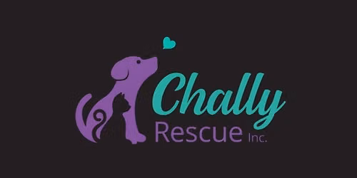 Chally Animal Rescue Meet & Greet Day \ud83d\udc9c\ud83d\udc3e