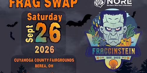 NORE Fragginstein Frag Swap 2026