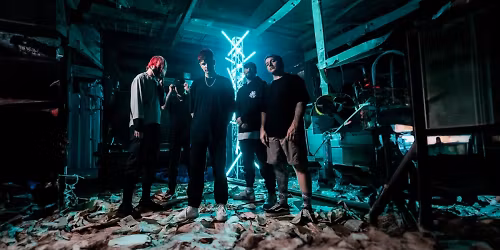 Alpha Wolf in Newcastle-Maitland