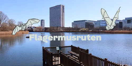 G\u00e5 med p\u00e5 flagermusruten