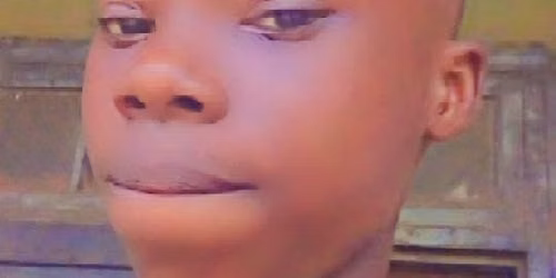 Adeogun Paul adedayo