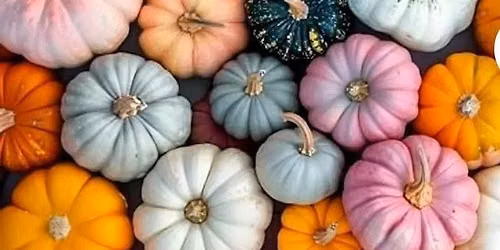 Dinner and Pumpkin Bingo