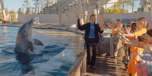 Sunset Camp Spring 2026