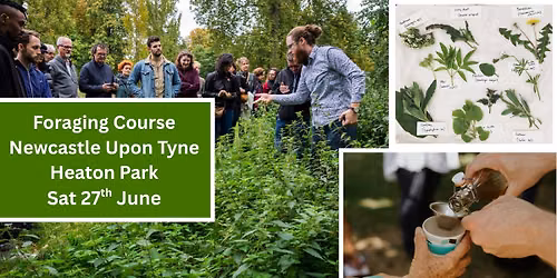 Foraging Course - Heaton Park, Newcastle