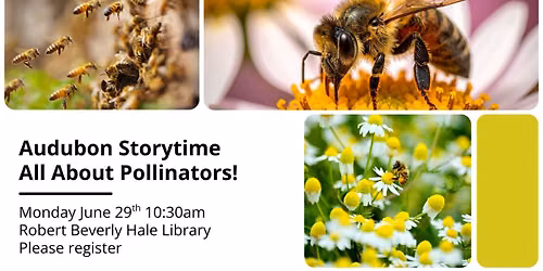 Audubon Storytime - Pollinators!