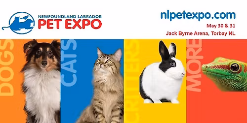 NL PET EXPO