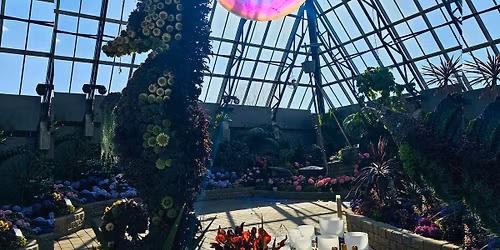 Pyramid of Sound: Sound Bath Muttart Conservatory