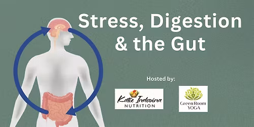 Stress, Digestion and the Gut
