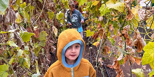 School Days Off Class: Unbe-LEAF-able Harvest Happenings