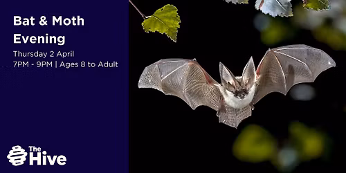 Bat and Moth evening at The Hive (2 April 2026)