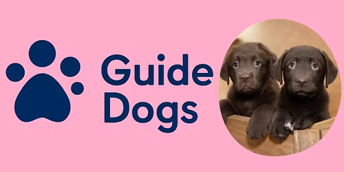 Come at Meet the Guide Dogs at Amersham