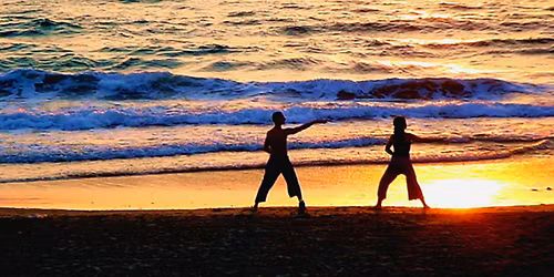 Intro to Tai Chi and Qigong