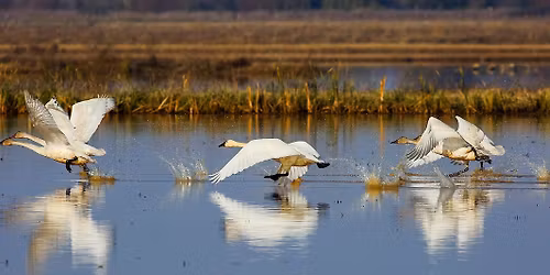 Loess Bluffs NWR Field Trip