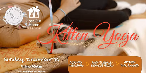 Holiday Kitten Yoga with Lost Our Home and Paws & Breathe \ud83e\uddd8\ud83c\udffd\u200d\u2640\ufe0f\ud83d\udc3e