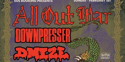 Dmize