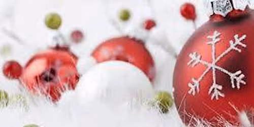 Chris & Jenny's Just Add Water Holiday Norwex Party