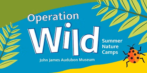 Operation WILD Kid's Summer Nature Camp - Raptors, Ages 9-12