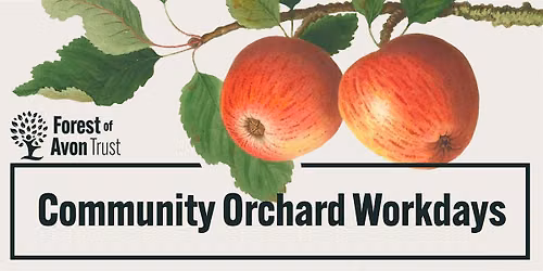 Community Orchard Workday: