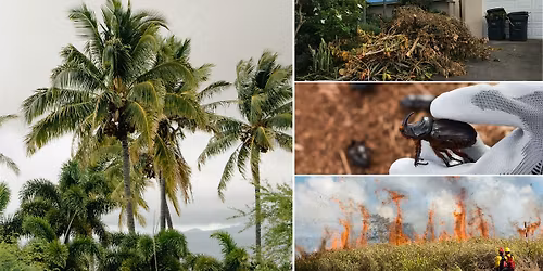 Community Meeting: Kona Palisades Green Waste Removal Effort