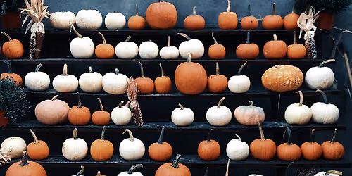 BUSHWICK VENDORS MARKET Halloween Edition