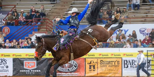 3rd ANNUAL ALBEMARLE PRO RODEO