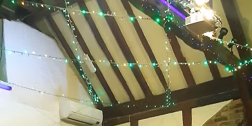 Steve Young Band at the Old Mill