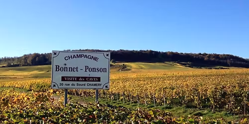 Champagnemingel med Bonnet-Ponson