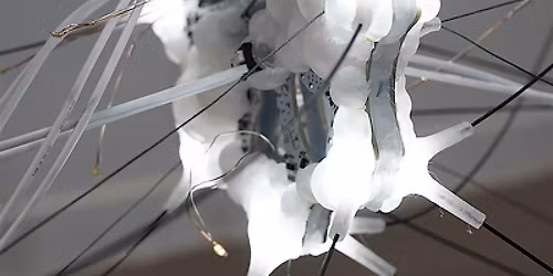 Free Inclusive Family Program - January 11, 10:30am-12:30pm