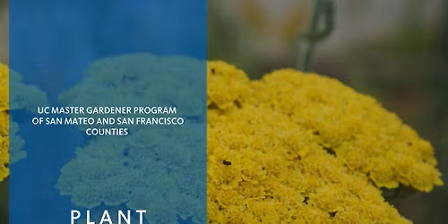 Master Gardener Plant Clinic at the San Mateo Arboretum