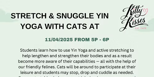 Stretch & Snuggle Yin Yoga with Cats
