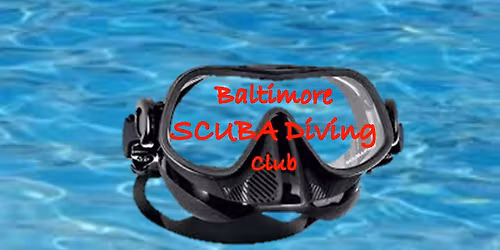 Dive Club Happy Hour