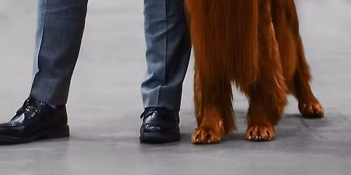 Will Alexander Handling Masterclass