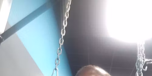 black cobra vs white cobra vs mixed breeded corba ninja rollers culture 