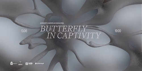 Butterfly in Captivity 