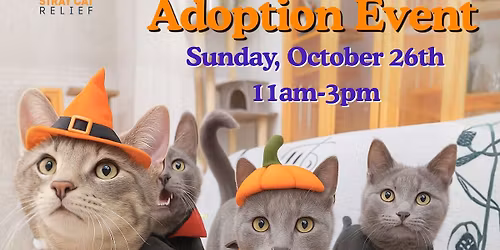 Meowlloween Adoption Event