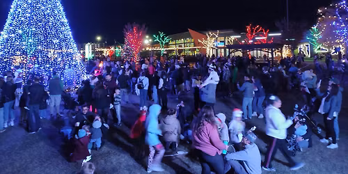 Christmas Light Display