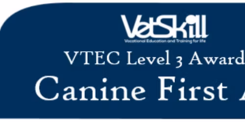 VetSkill VTEC Level 3 Award in Canine First Aid